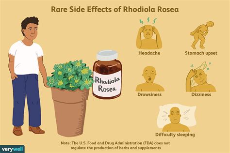 If you take prescription meds, ensure youre aware of potential side effects. . Rhodiola side effects estrogen